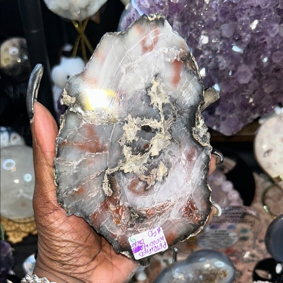 Crystal Luxury Psychology Accessories - Petrified Wood & Calcite Specimen